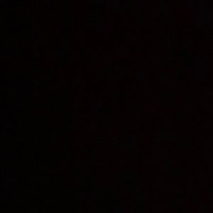 Meet your Posher, Alondra